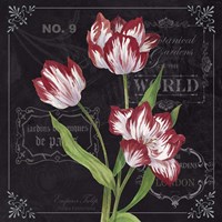Tulips Fine Art Print