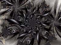 Among The Shoals Fine Art Print