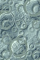 Effervescent III Fine Art Print