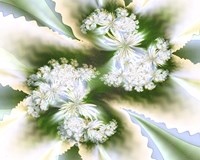 Anticipating Spring Fine Art Print