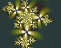 Blomma Fine Art Print