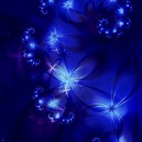 Moonlit Garden Fine Art Print