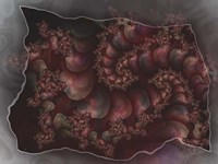 Bittersweet Fine Art Print