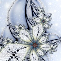Winter Wonder Fine Art Print
