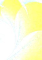 Petals III Framed Print