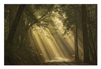 L'esprit du soleil Fine Art Print