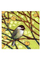 Modern Bird I Fine Art Print