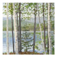 Cooper Lake I Fine Art Print