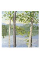 Cooper Lake II Fine Art Print