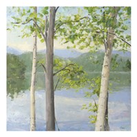 Cooper Lake II Fine Art Print