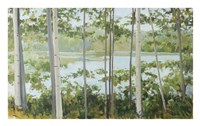 Birch Lake Fine Art Print