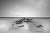 Borne Back Fine Art Print