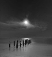 Eighteen Pilings Beneath the Rising Moon Fine Art Print