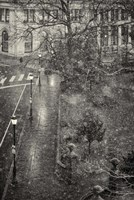 Trompe L'Oeil Fine Art Print