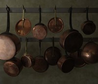 Hanging Copper Fine Art Print