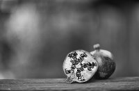 Picnic With Persephone Redux Fine Art Print