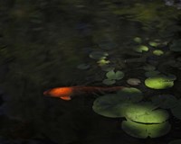 Sounding Fine Art Print