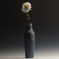 Matalija Fine Art Print