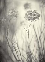 President's Day Fine Art Print