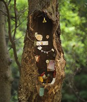 Bower Fine Art Print