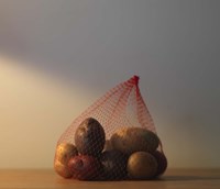 Captivity Fine Art Print