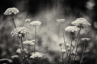 Coup d'etat Fine Art Print