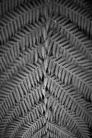 Mr. Kurtz Fine Art Print