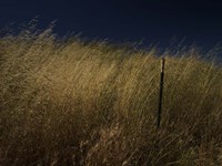 Panhandle Fine Art Print