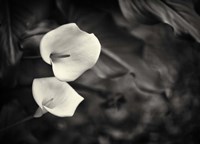 Something More Beside You Fine Art Print