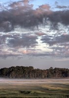 Sublimation Fine Art Print