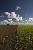 Apres la Guerre Fine Art Print