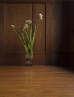 Deracination Redux Fine Art Print