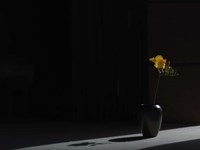 Void (Still Life in Moonlight) Fine Art Print