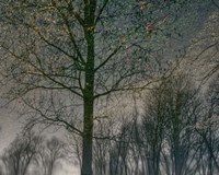 Your Luck Pushes Back Fine Art Print