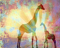 Giraffes Fine Art Print
