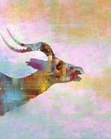 Steed Fine Art Print