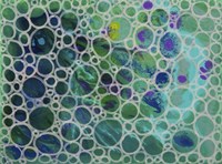 Dimension 16 Fine Art Print