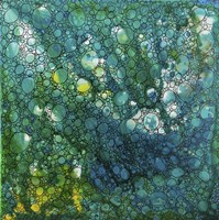 Dimension 2 Fine Art Print