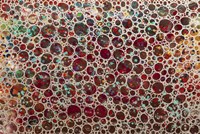 Dimension 26 Fine Art Print