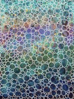 Dimension 30 Fine Art Print