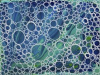 Dimension 5 Fine Art Print