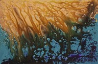 Liquid Sunshine Fine Art Print