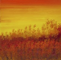 Views of Nature 12 Fine Art Print