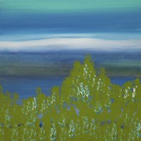 Views of Nature 17 Fine Art Print