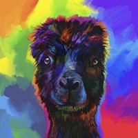 Pop Art - Alpaca Fine Art Print
