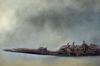 Dare To Be Different Fine Art Print