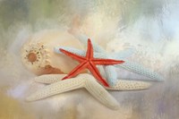 Gifts From The Sea Fine Art Print