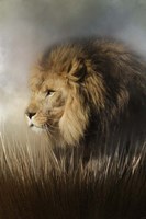 Here Comes The Kind Fine Art Print