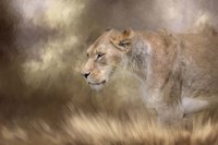 Lioness In Spring Fine Art Print