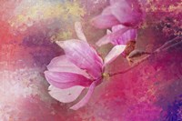 Pink Tulip Magnolia Fine Art Print